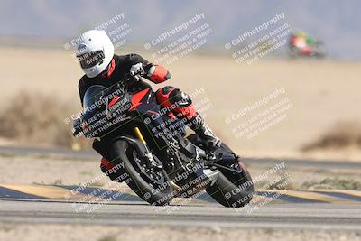 media/Oct-13-2025-Moto Forza (Mon) [[a66d839500]]/3-B Group/Session 4 Turn 4 Tree of Life/